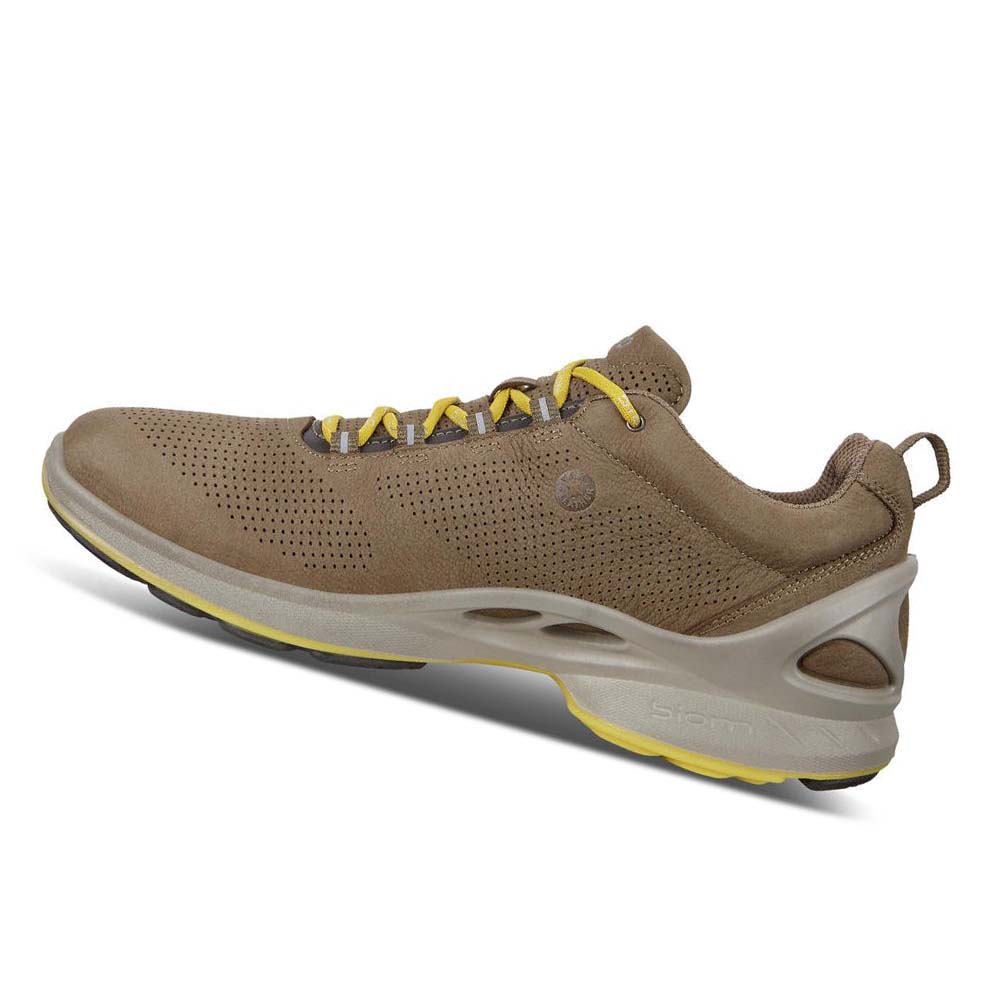 Férfi Ecco Mens Biom Fjuel Perf Hiking & Trail Barna | HU 568JPQ